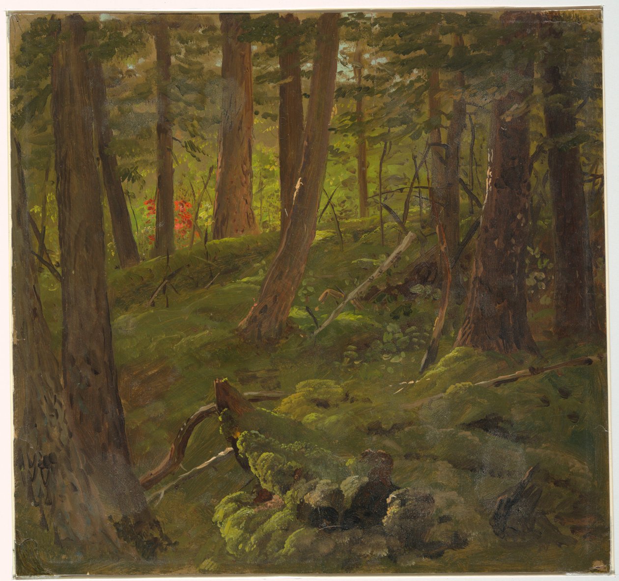 Erdő Jamaicában alkotó: Frederic Edwin Church