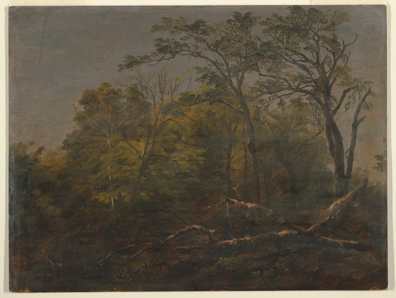 Maine Woods alkotó: Frederic Edwin Church