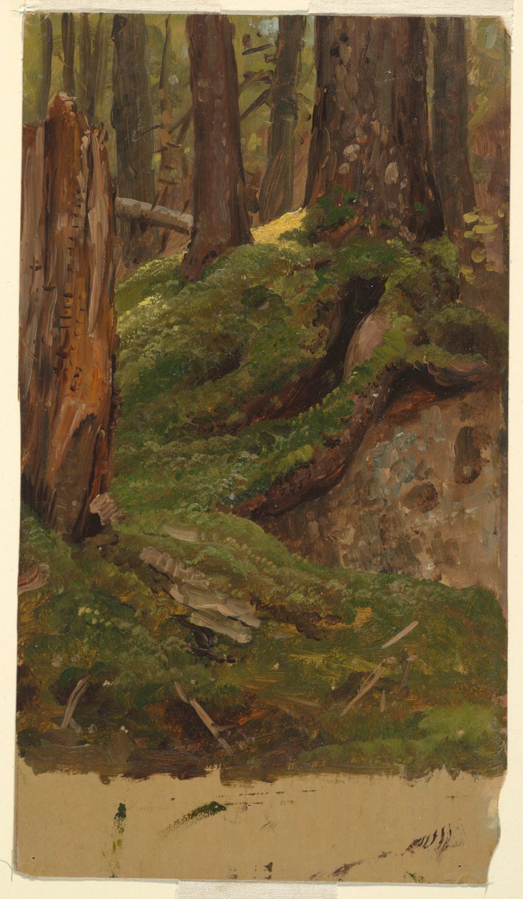 Maine ? fák alkotó: Frederic Edwin Church