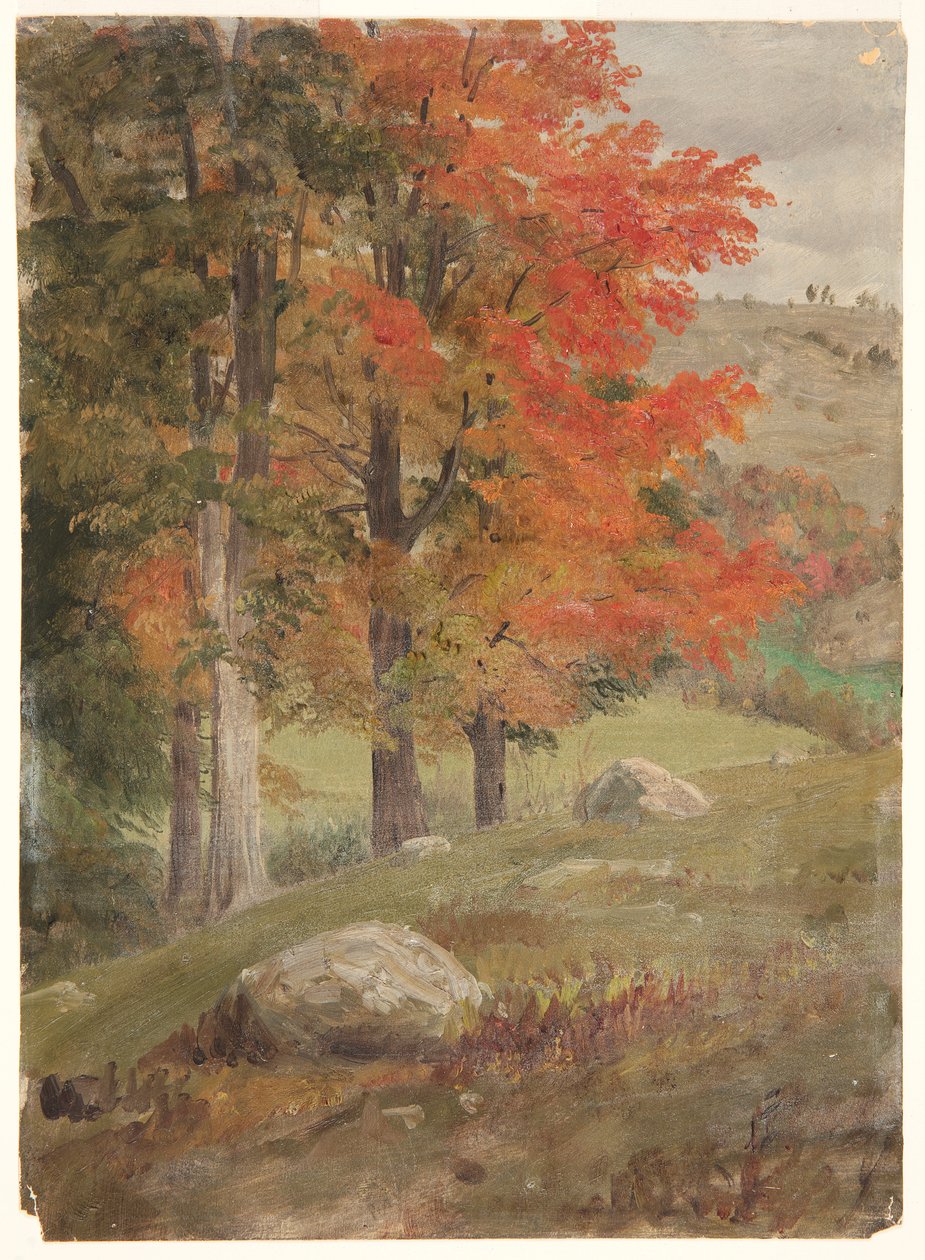 Erdők ősszel alkotó: Frederic Edwin Church