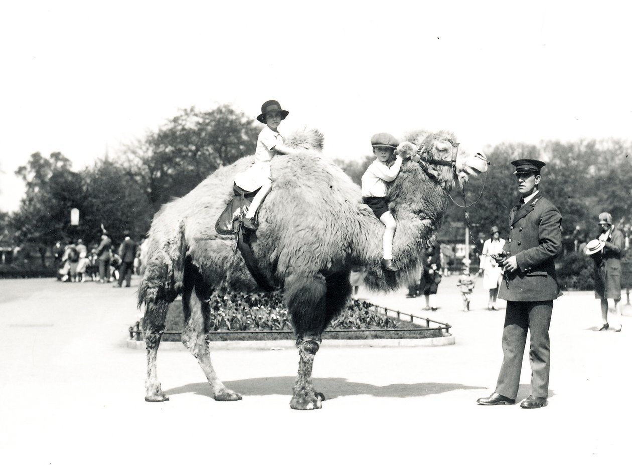 Tevegelés a ZSL Londoni Állatkertben, 1928. szeptember alkotó: Frederick William Bond