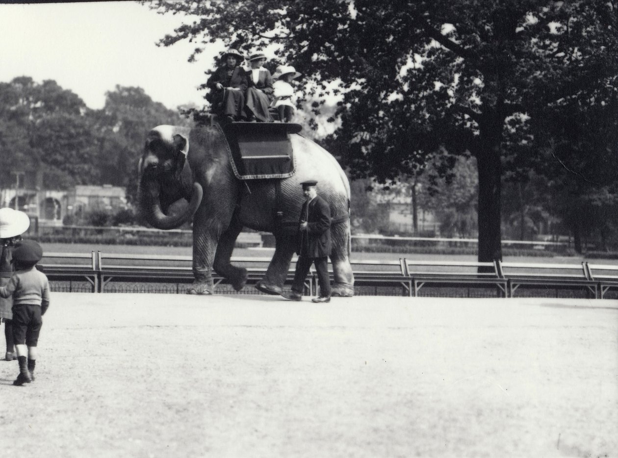 Egy ázsiai elefánton két hölgy és egy fiatal lány lovagol, oldalán állattartóval, Londoni Állatkert, 1914. május alkotó: Frederick William Bond