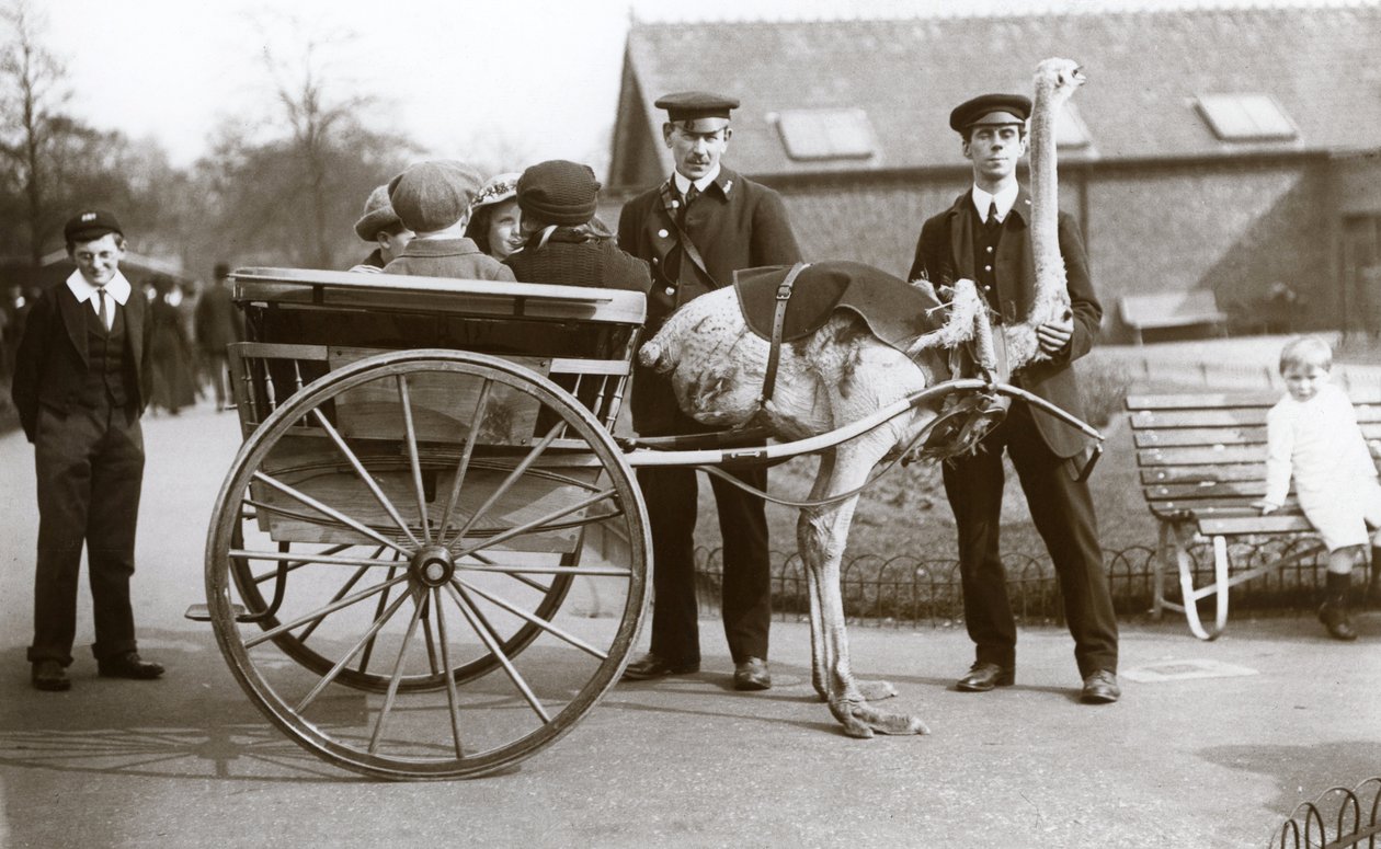 Strucckocsikázás gyerekekkel és George Blore és William Dexter gondozókkal a londoni állatkertben, 1913 körül. alkotó: Frederick William Bond