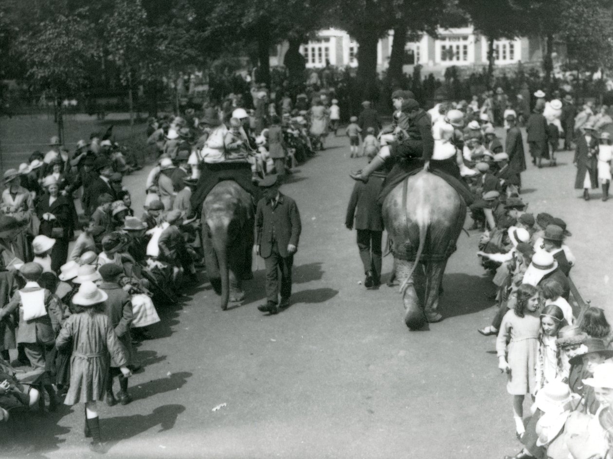 Ázsiai elefántlovaglás bámészkodók tömegével a londoni állatkertben, 1922 (bw fotó) alkotó: Frederick William Bond