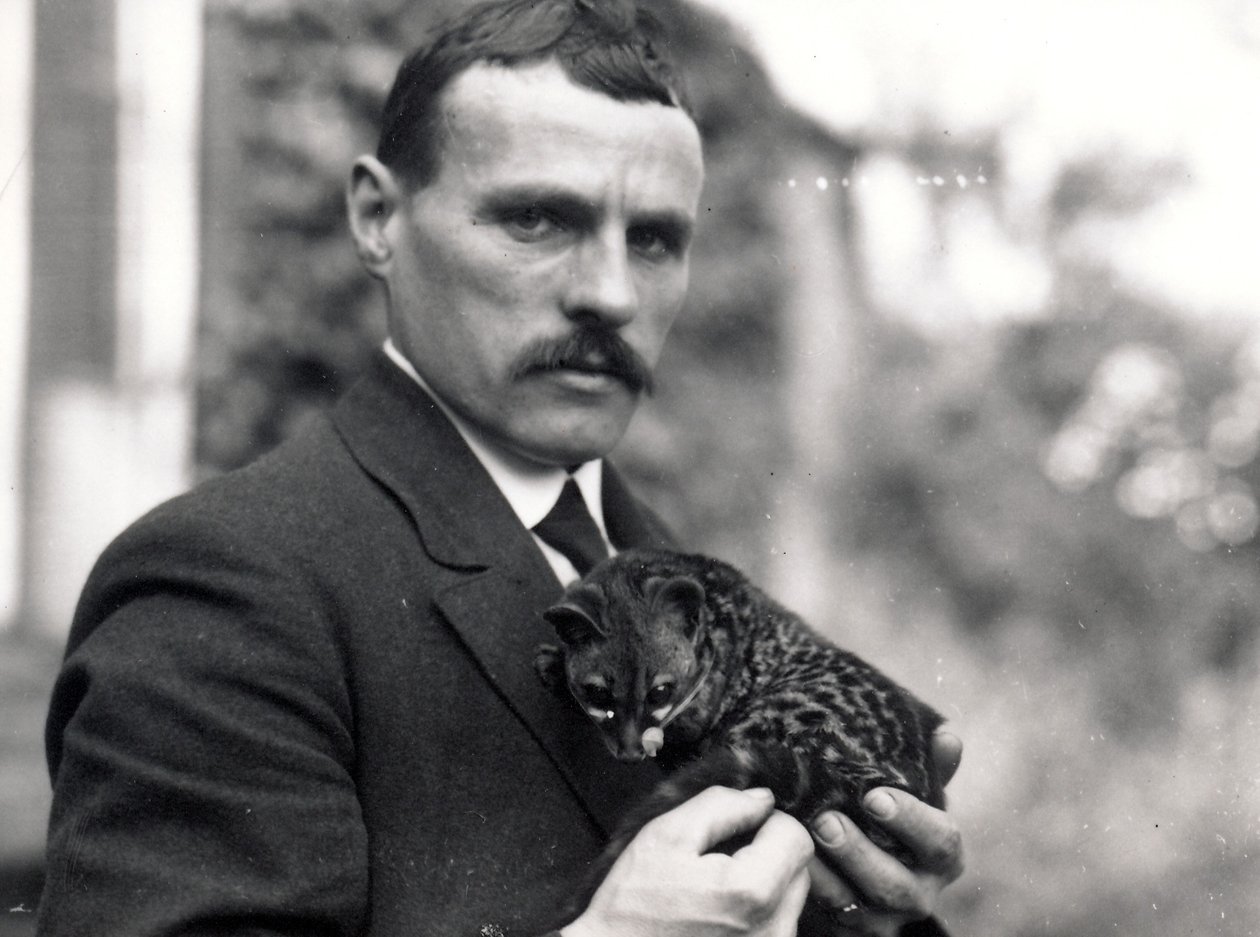 Charlie Dixon genetikával, 1916 alkotó: Frederick William Bond
