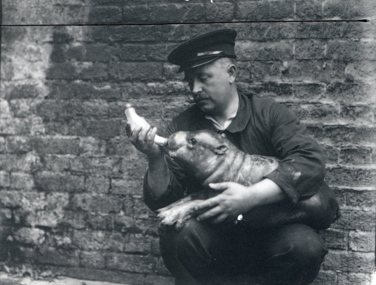 Ernie Bowman, 1926-27 körül alkotó: Frederick William Bond