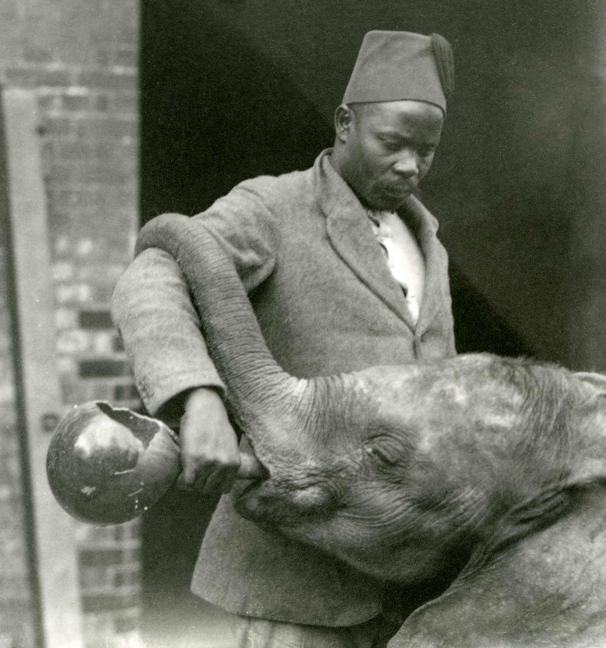 A fiatal afrikai elefántot, Kiberenge-t Darisha itatja, miközben a háttérben Syed Ali nézi, Londoni Állatkert, 1923. szeptember (fekete-fehér fotó) alkotó: Frederick William Bond