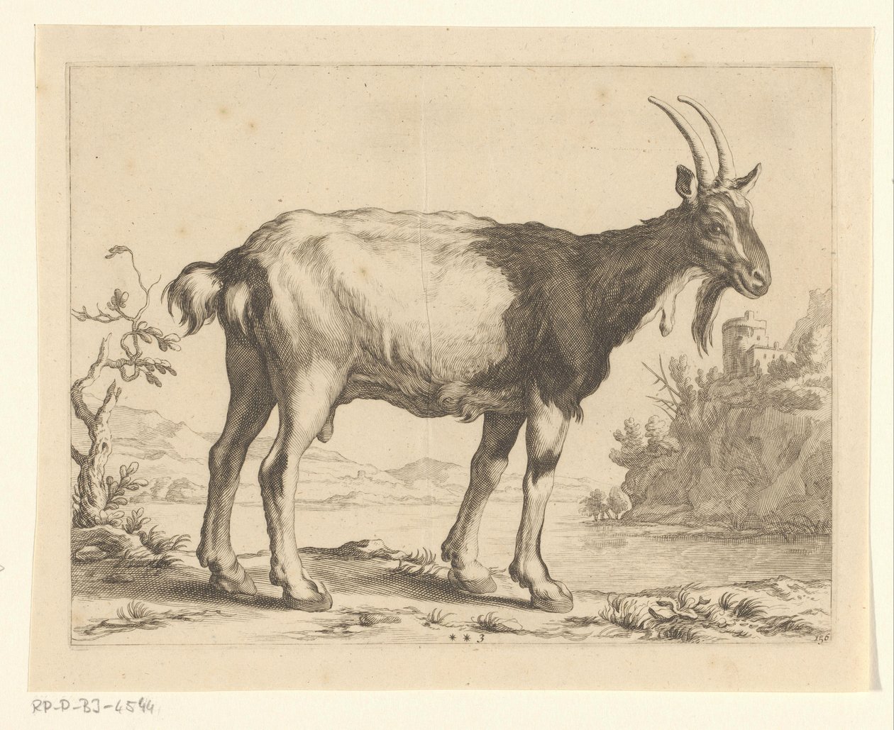 Kecske Abraham Bloemaert rajzkönyve (sorozat címe) alkotó: Frederick Bloemaert