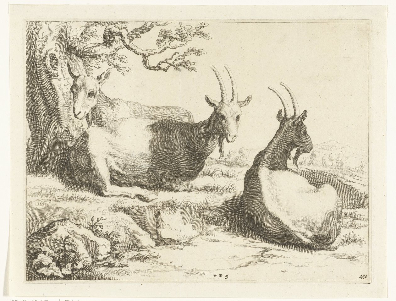 kecskéket Abraham Bloemaert rajzkönyve (sorozat címe) alkotó: Frederick Bloemaert