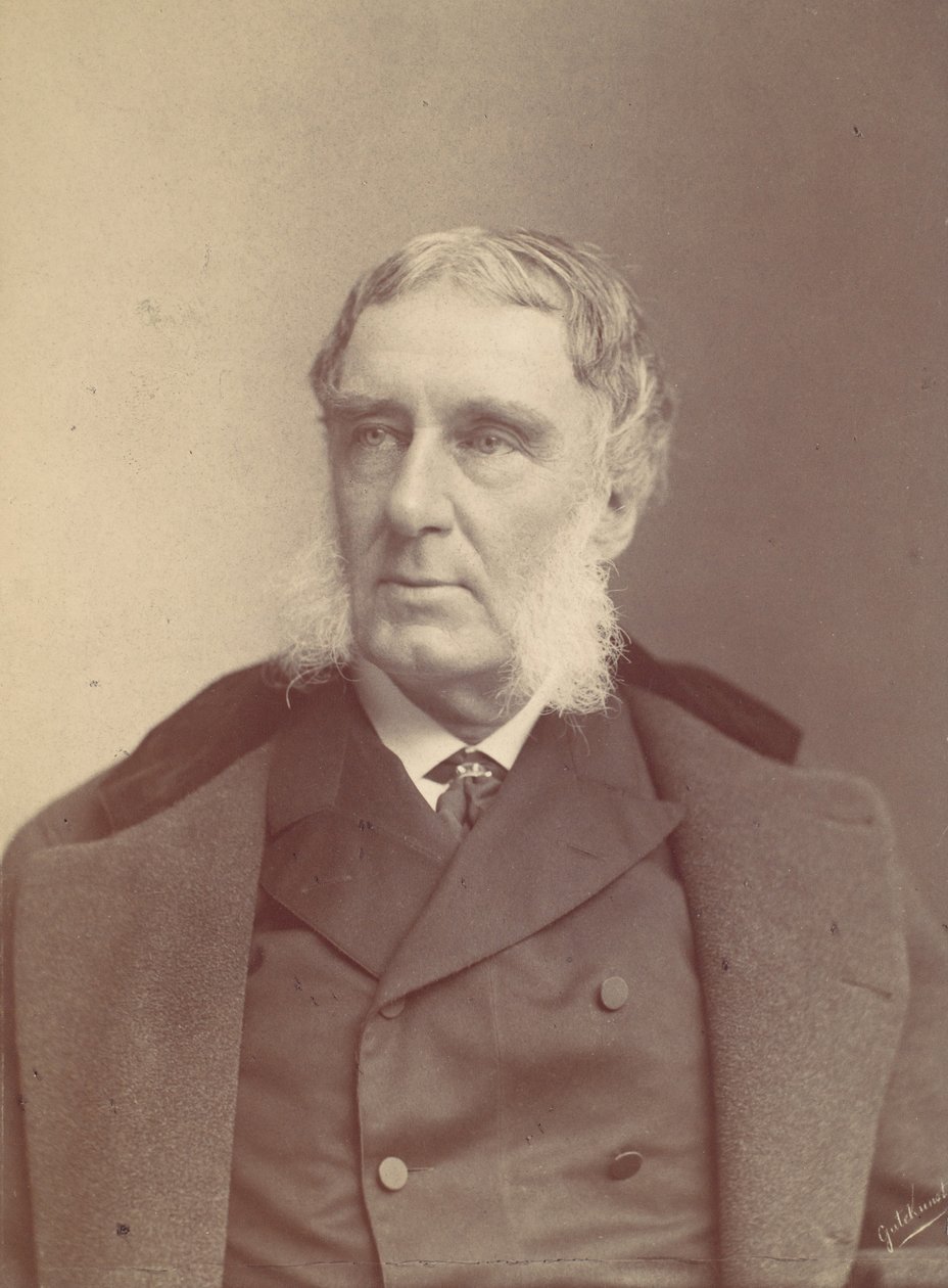 [Férfi oldalbajszos], 1870-80-as évek. alkotó: Frederick Gutekunst