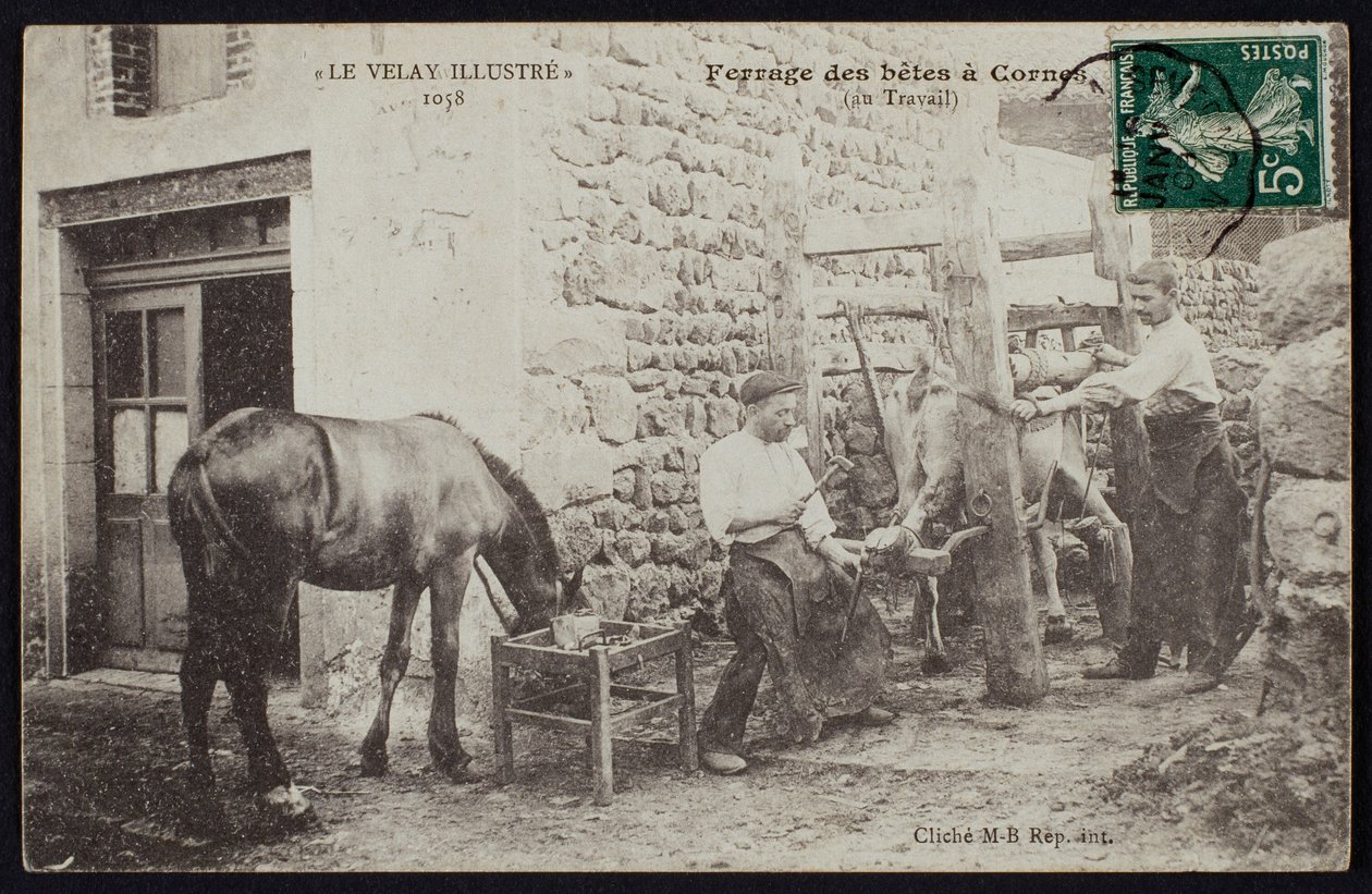 Képeslap, amely egy ló patkolását ábrázolja Cornes-ban, Le Velay-ben, 1900 körül alkotó: French Photographer