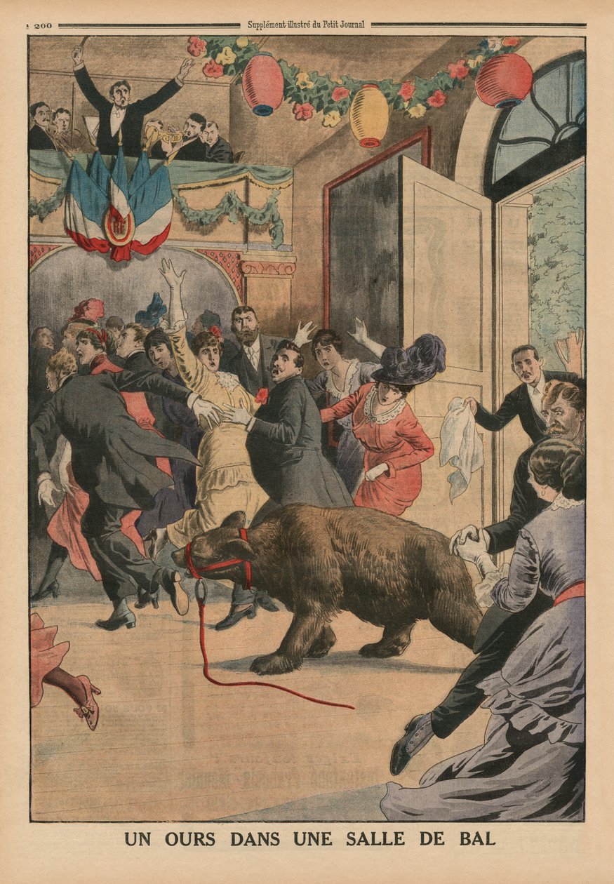 Egy medve a bálteremben, hátsó borító illusztráció a 