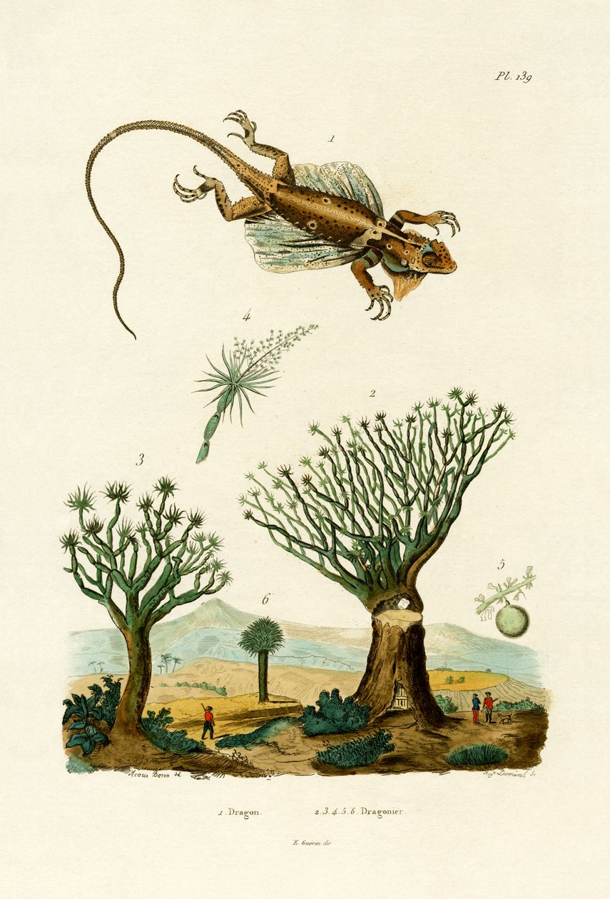 Repülő sárkány, 1833-39 alkotó: French School