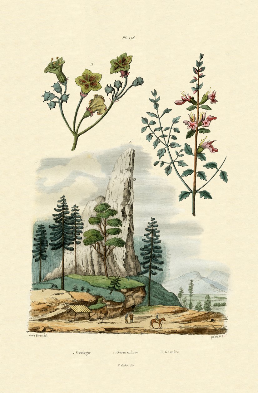 Földtan, 1833-39 alkotó: French School