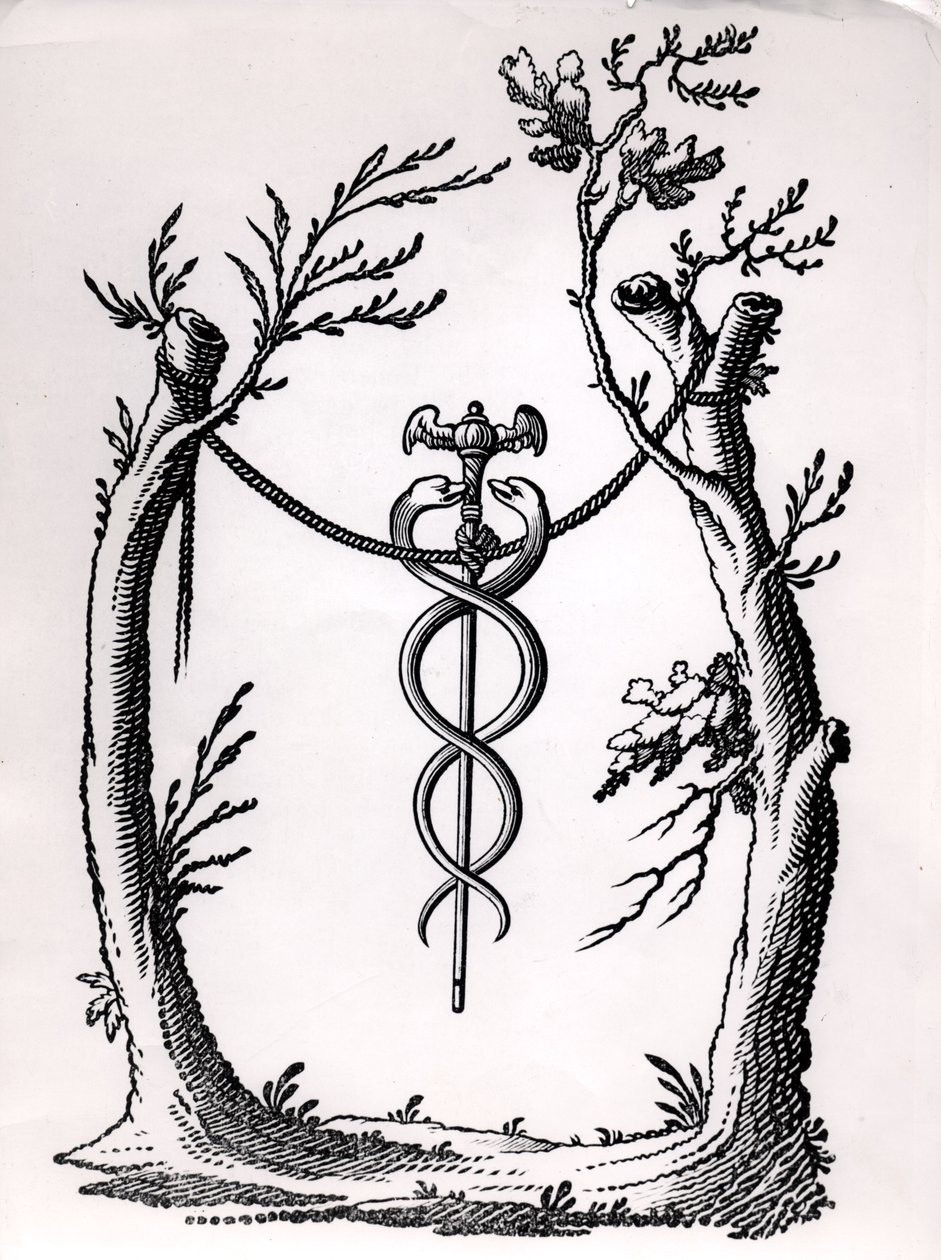 Caduceusban alkotó: French School