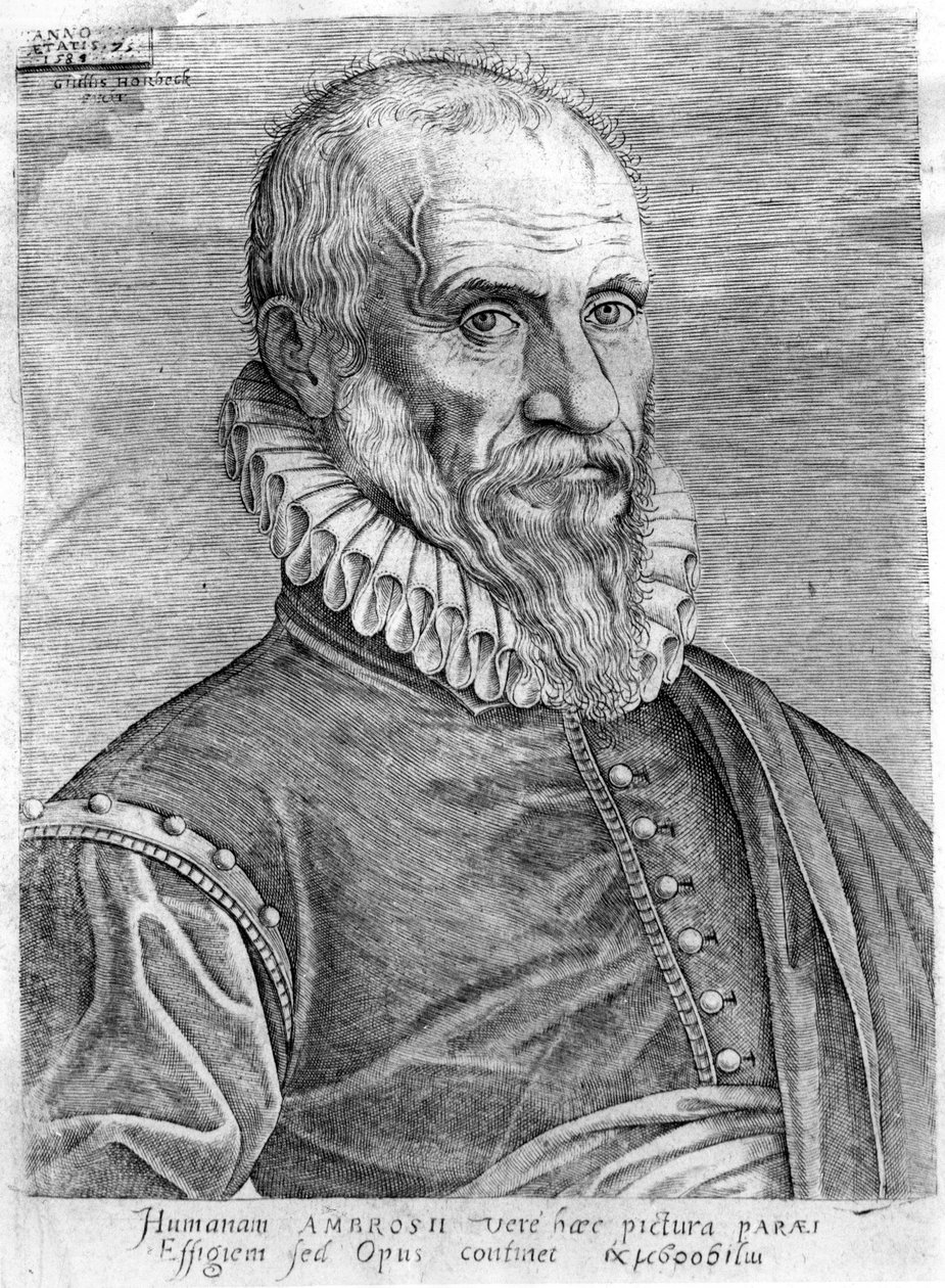 Ambroise Paré (1509-1590). alkotó: French School