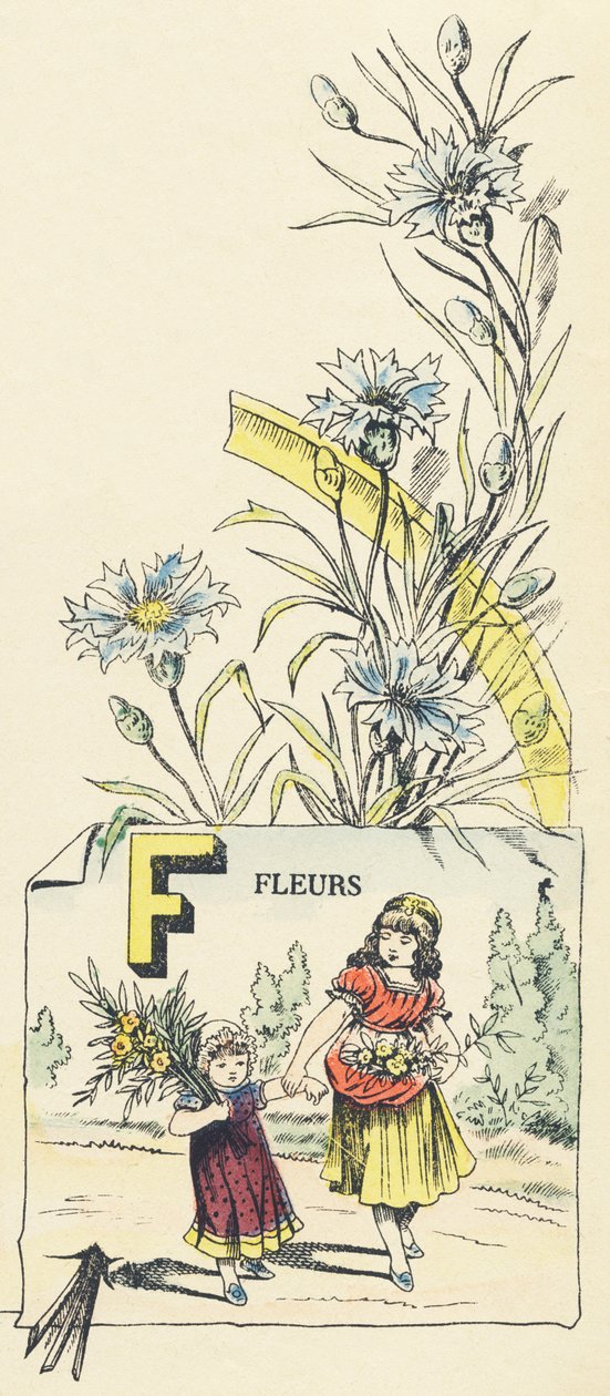 F: virágok alkotó: French School