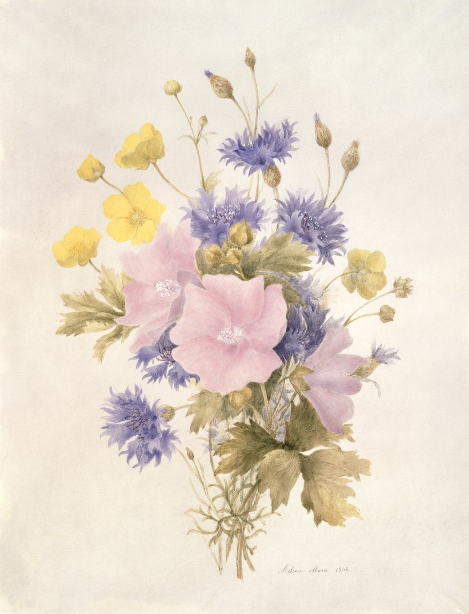Field Flowers, 1842 (wc papíron) alkotó: French School