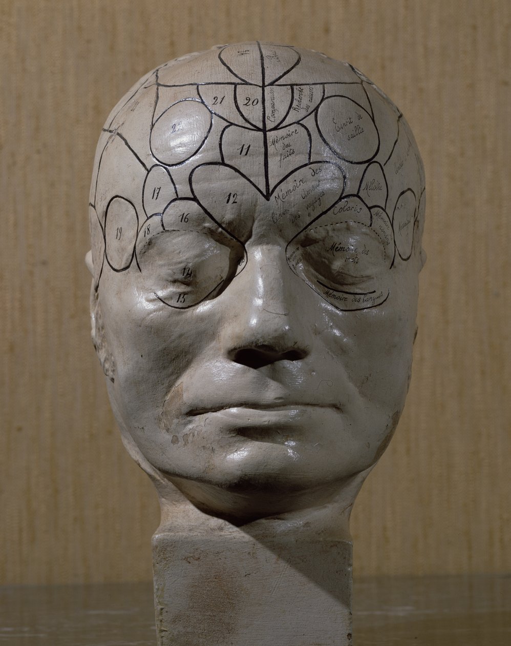 Jean Martin Charcot frenológiai vezetője (kerámia) alkotó: French School