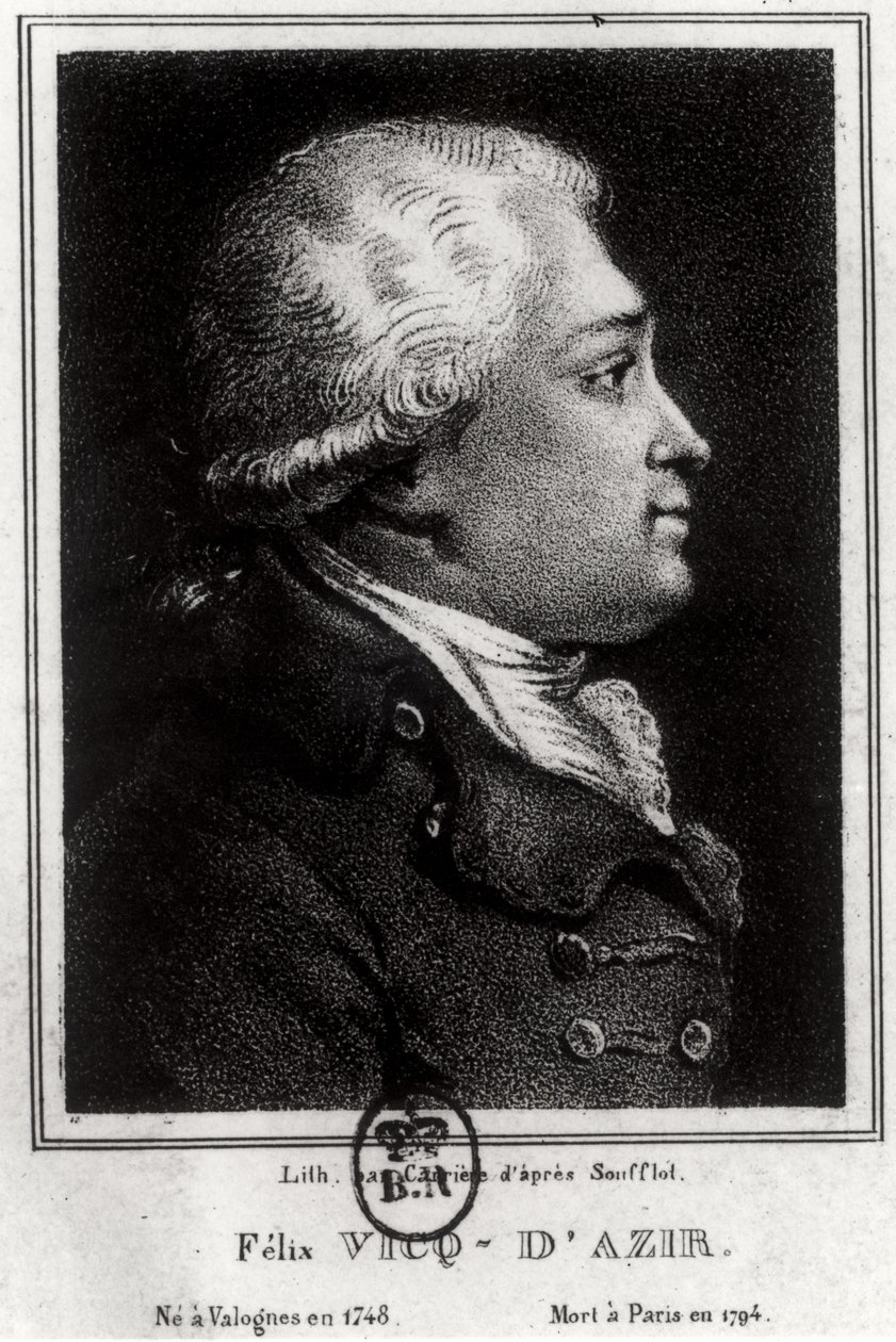 Felix Vicq dAzyr (1748-94) portréja alkotó: French School