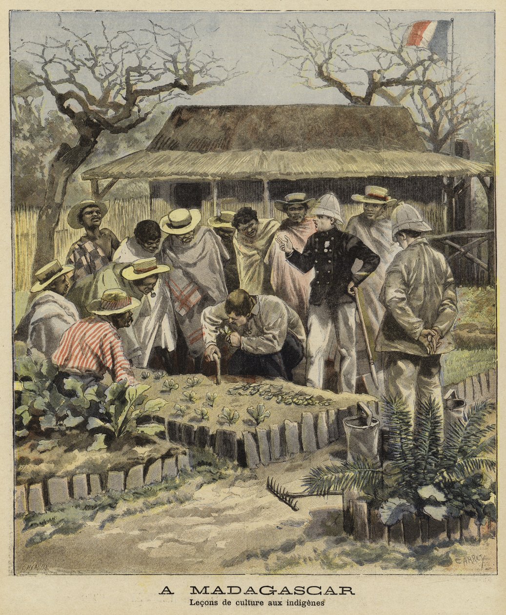 A bennszülöttek mezőgazdasági technikák tanítása, Madagaszkár, 1897 alkotó: French School