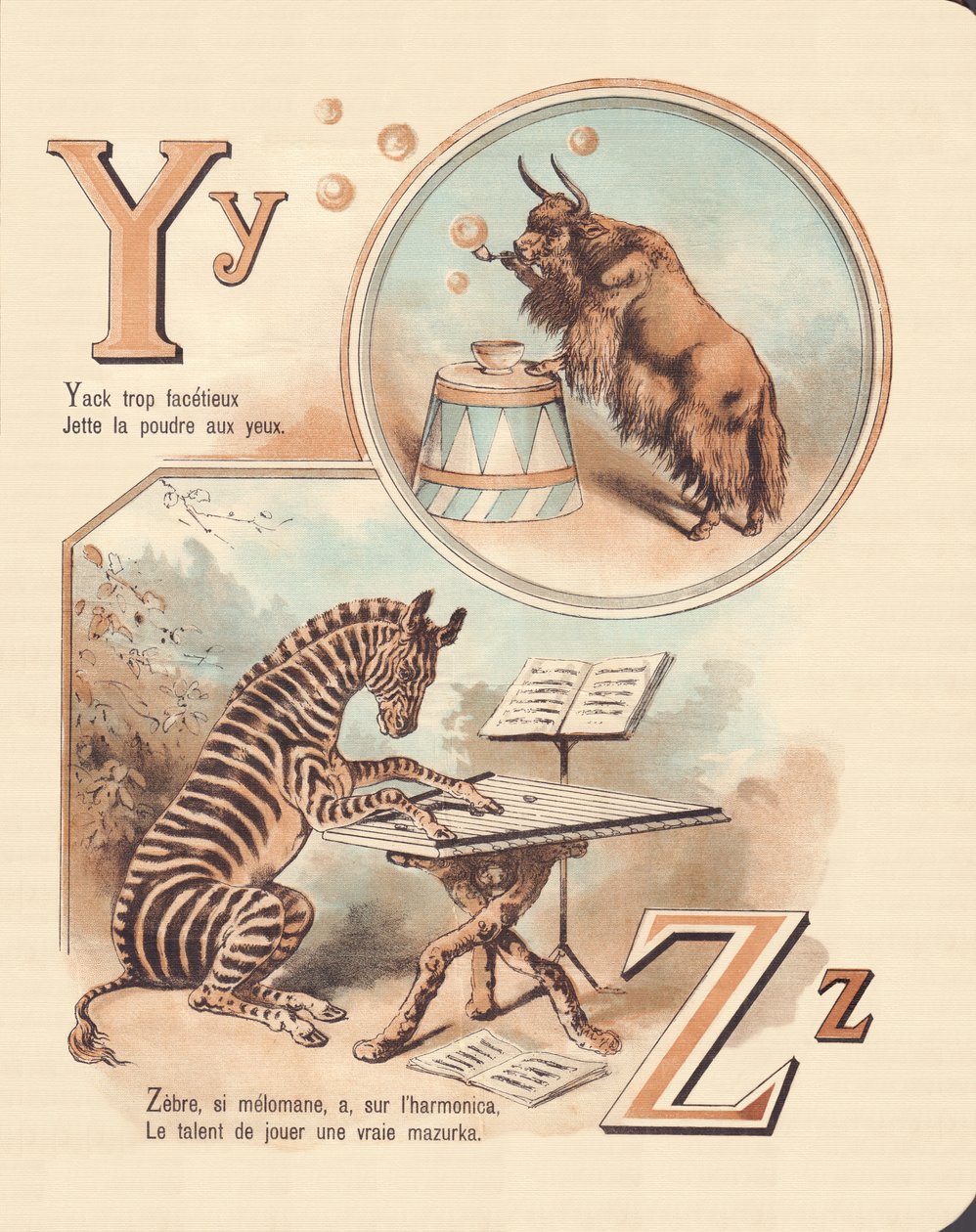 Y Z: Jak, Zebra alkotó: French School