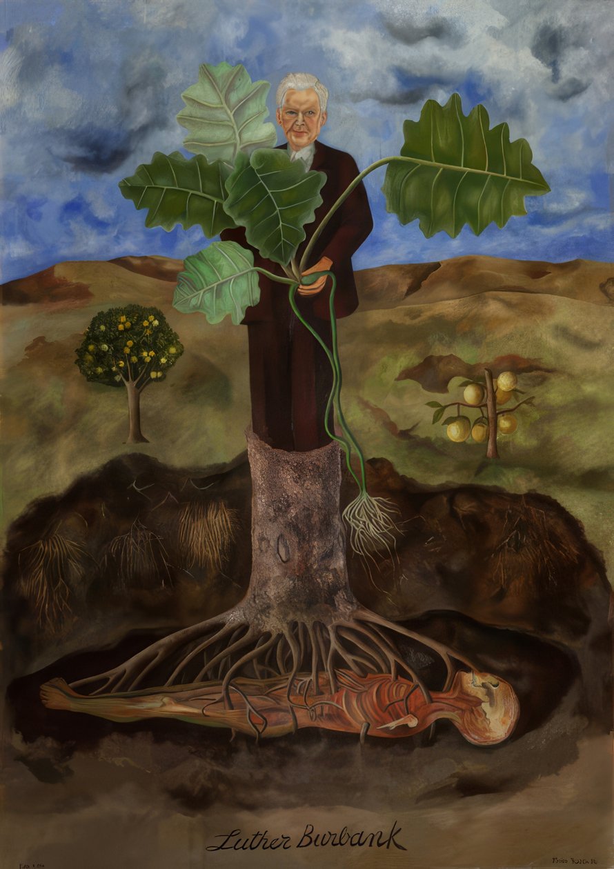 Retrato de Luther Burbank alkotó: Frida Kahlo