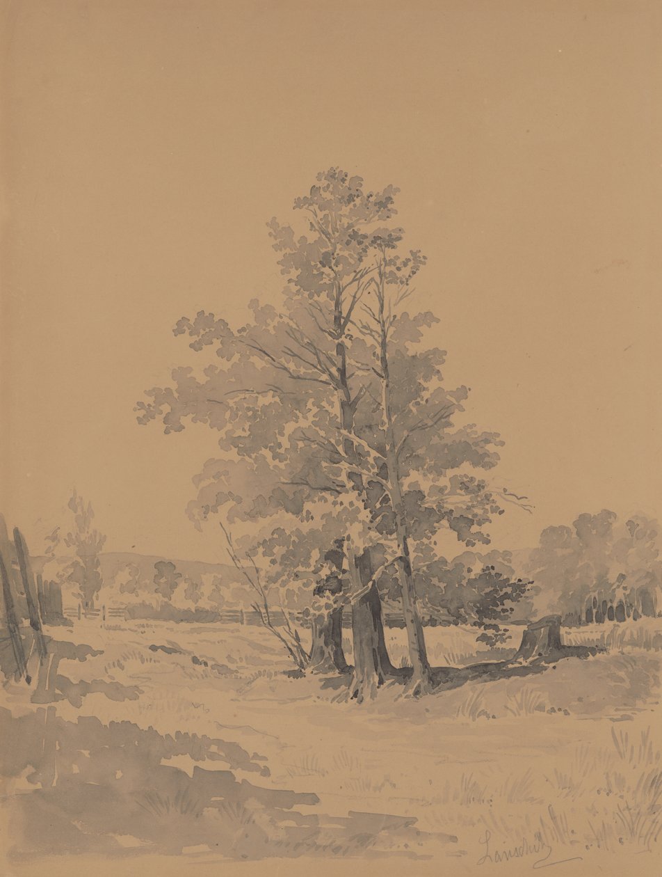 Fák az erdő szélén alkotó: Friedrich Carl von Scheidlin