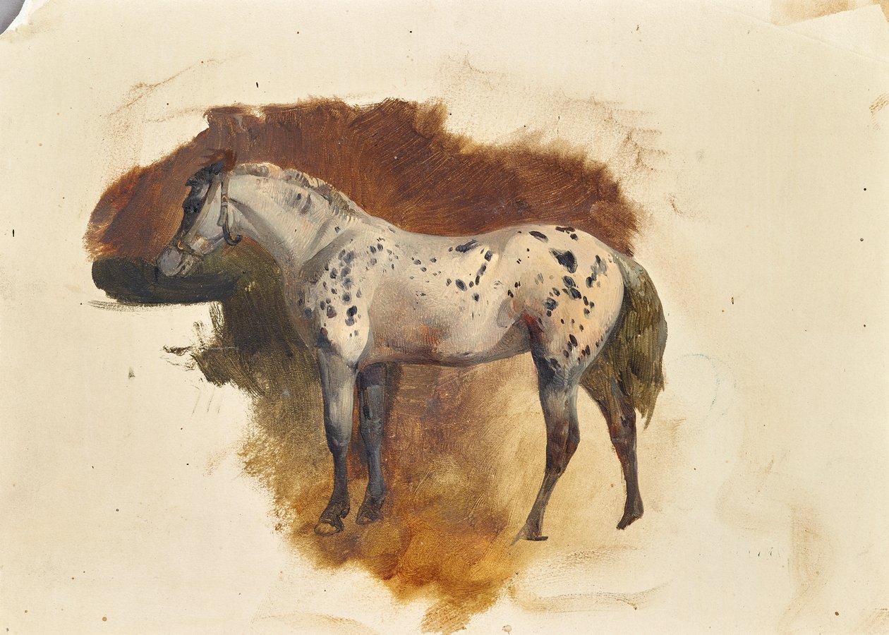 Foltos penészgomba alkotó: Friedrich August Mathias Gauermann