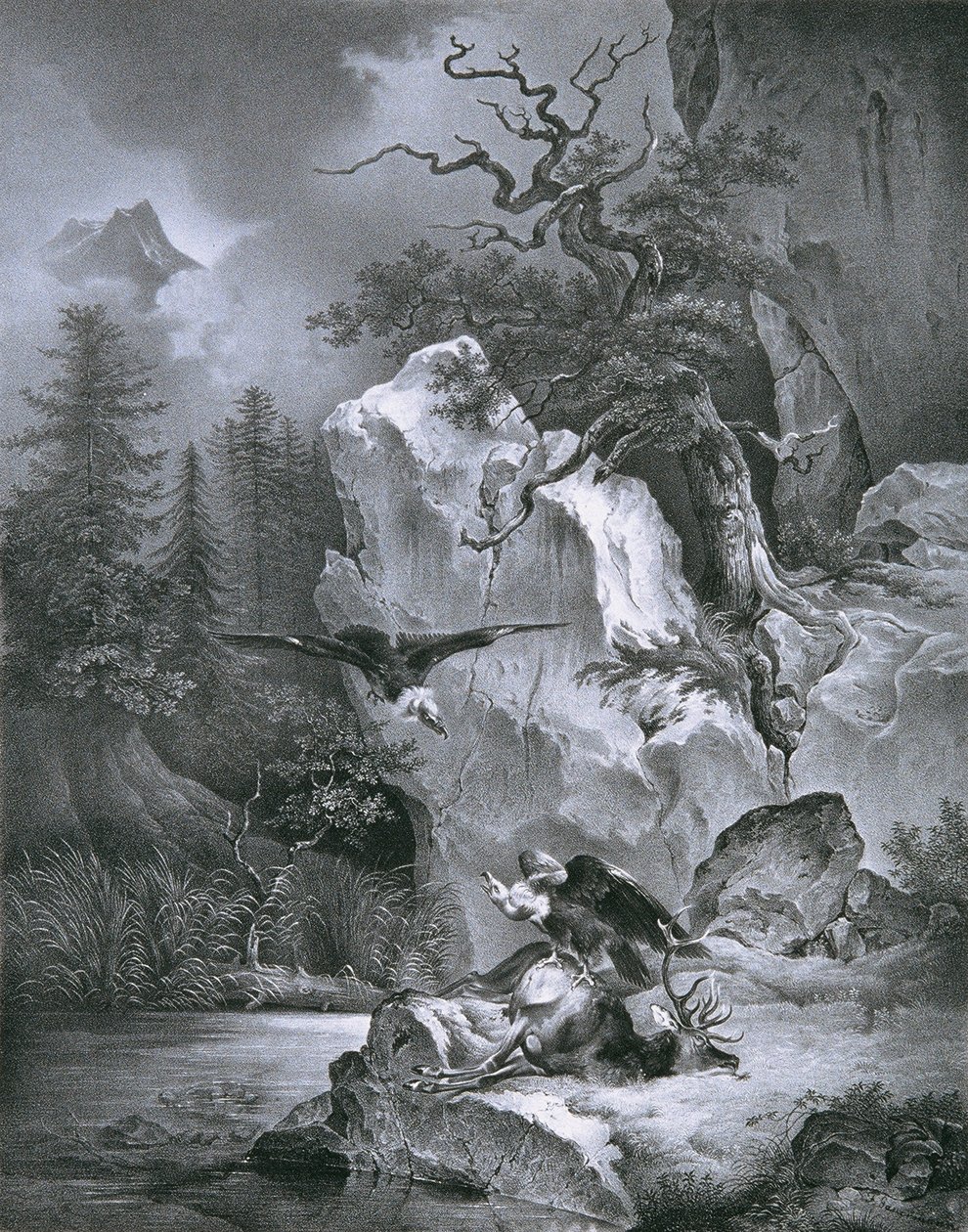 Keselyű döglött szarvassal alkotó: Friedrich August Mathias Gauermann