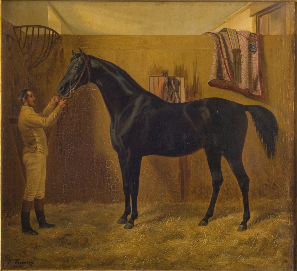 Fekete üstökös alkotó: Fritz Thomsen