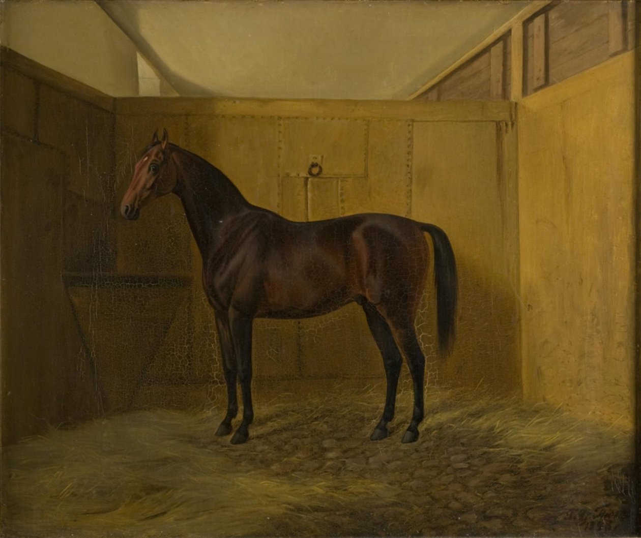 Bruno alkotó: Fritz Thomsen