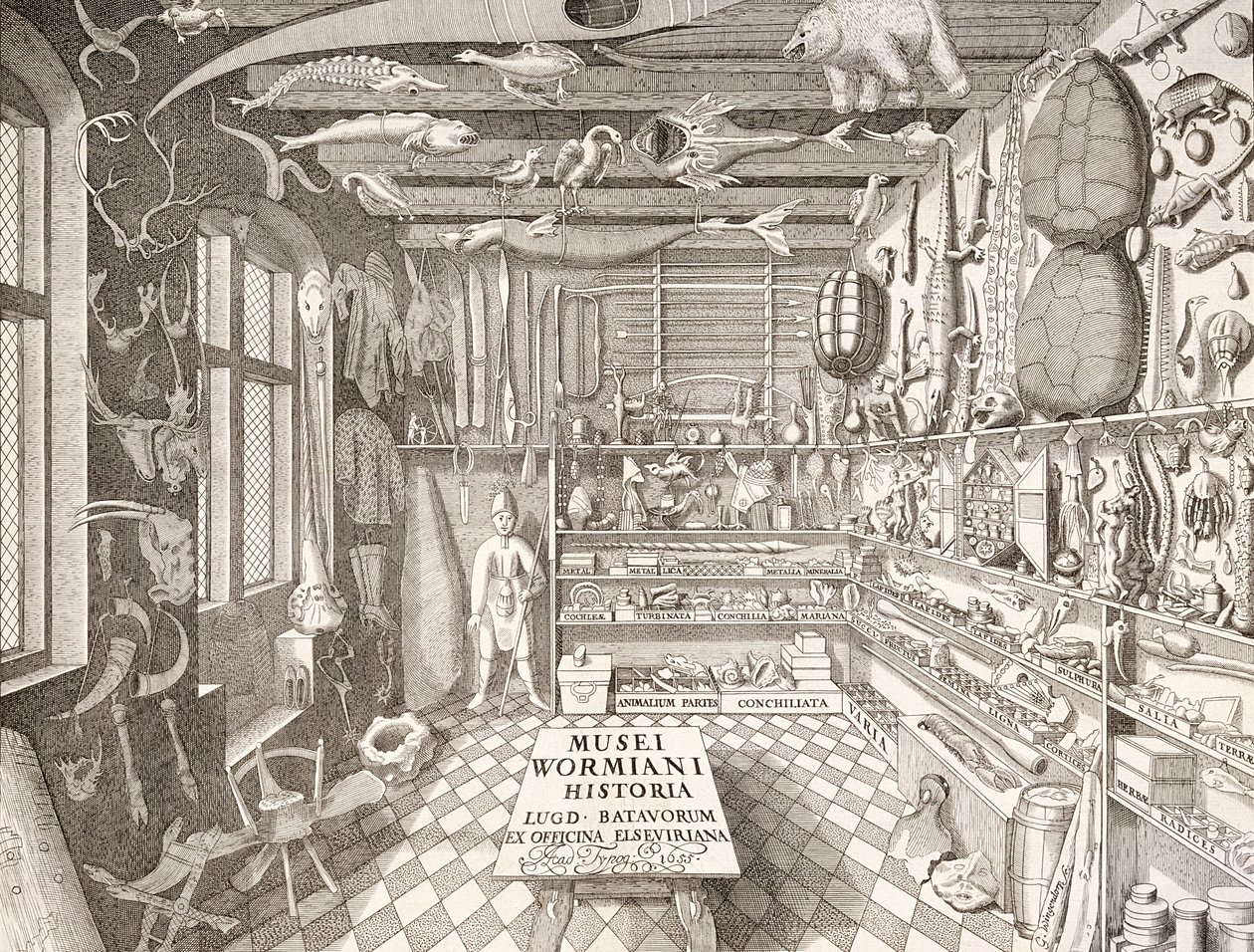 Ole Worm Múzeum, Leiden, 1655 alkotó: G. Wingendorp