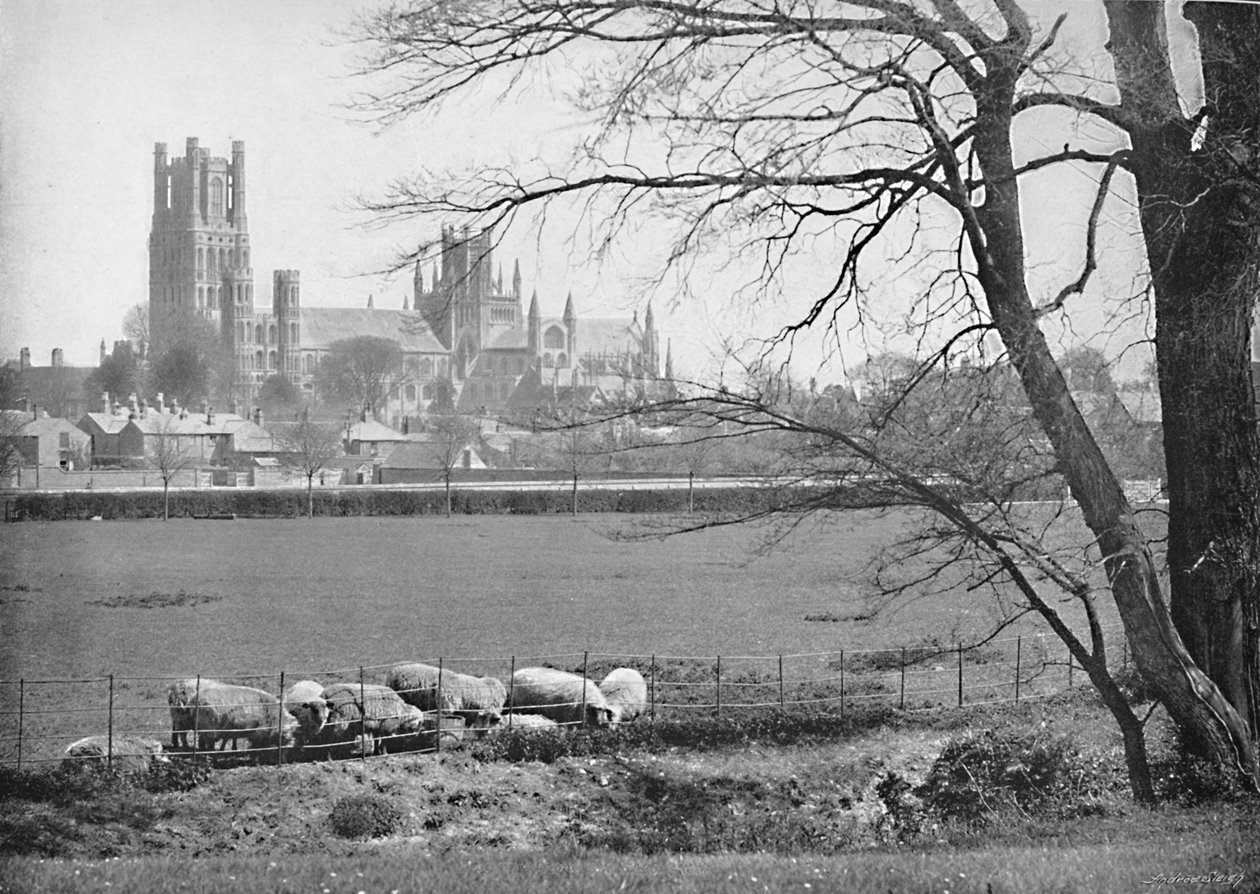 Ely-székesegyház, 1896 alkotó: G. W. Wilson and Company