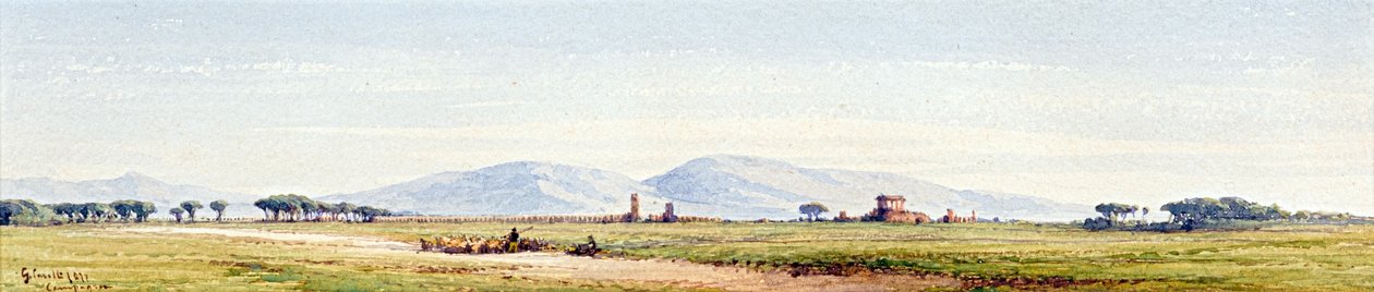 Kampány alkotó: Gabriel Carelli