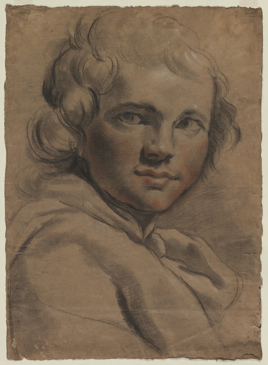 Egy fiatalember feje (recto) alkotó: Gaetano Gandolfi