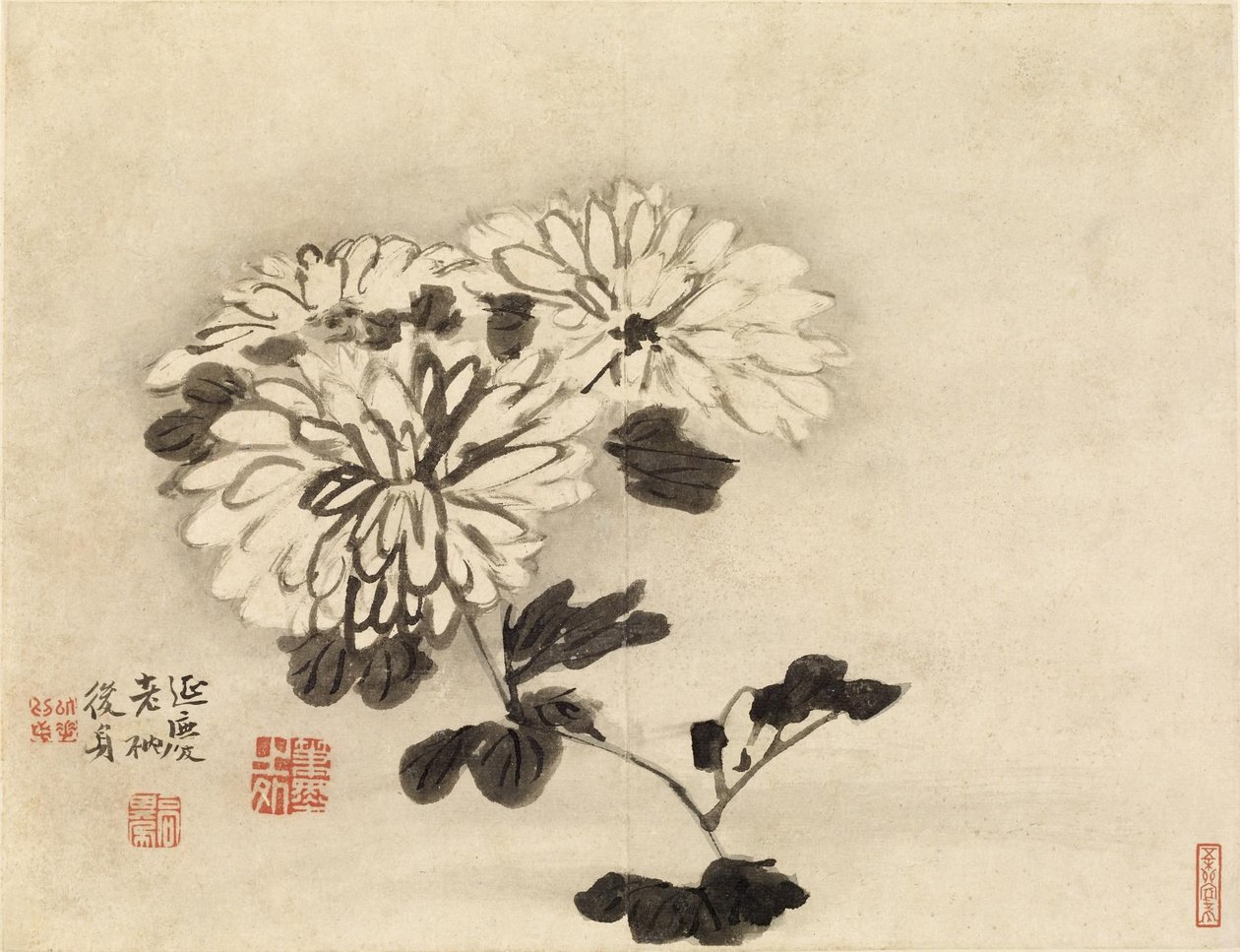 Krizantém alkotó: Gao Qipei