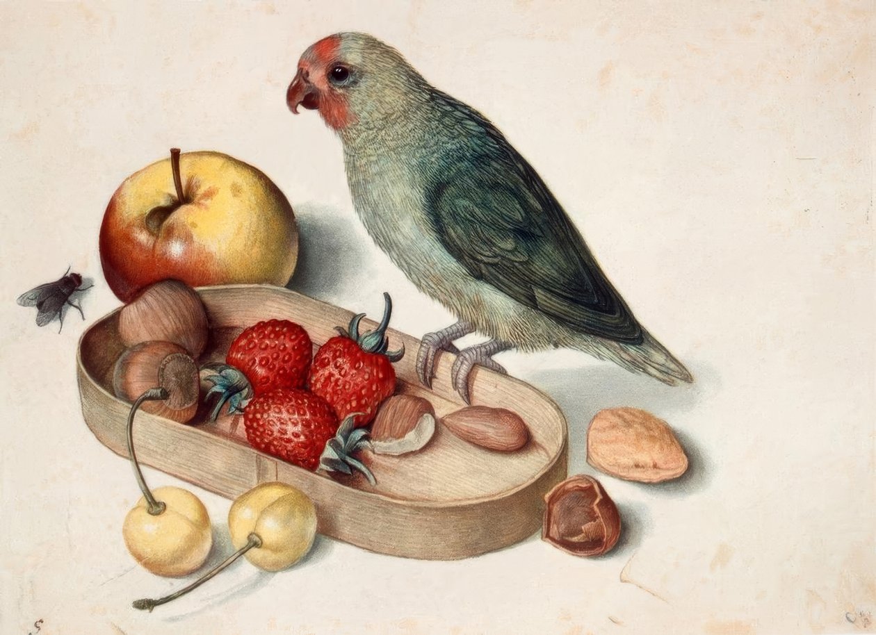 Csendélet törpepapagájjal alkotó: Georg Flegel