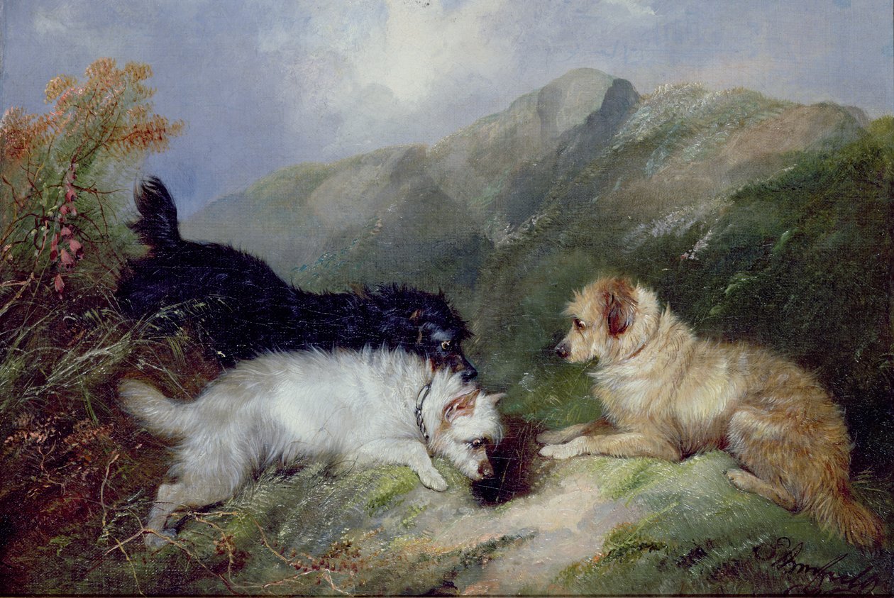 Terrierek Nyúl alkotó: George Armfield