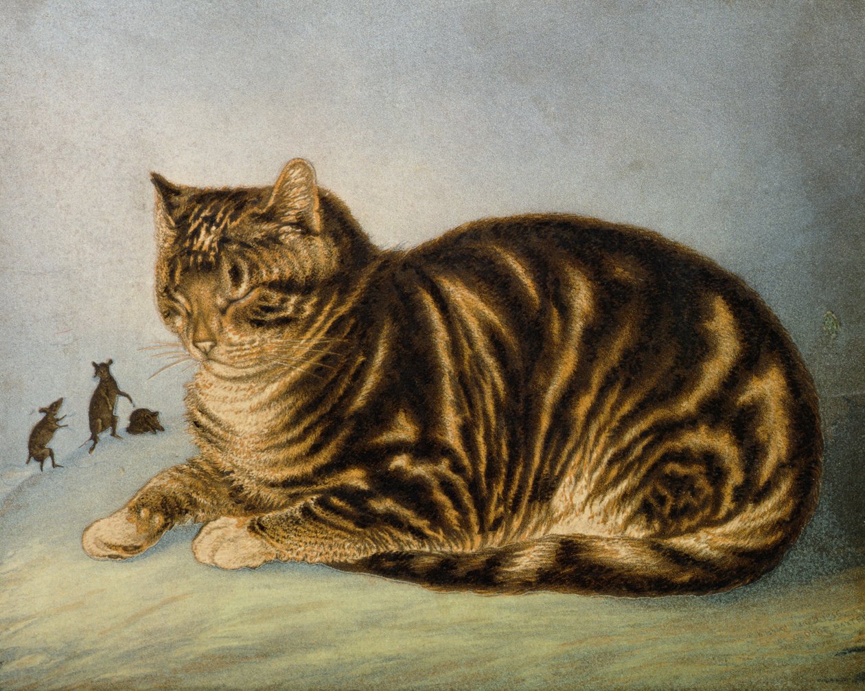 Puss Napping (nyomtatott) alkotó: George Baxter