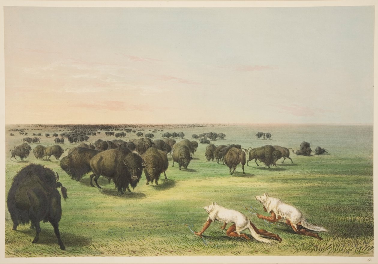 Bölényre vadászó indiánok farkasbőr maszk alatt, az Illustrations of the Manners, Customs & Conditions of the North American Indians című könyvből, London, 1845 (kézzel színezett metszet). alkotó: George Catlin