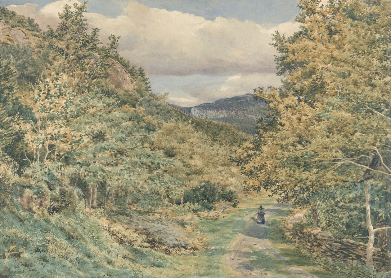 Egy út Bettws-y-Coed közelében, 1851 (wc grafit felett, papíron) alkotó: George Price Boyce