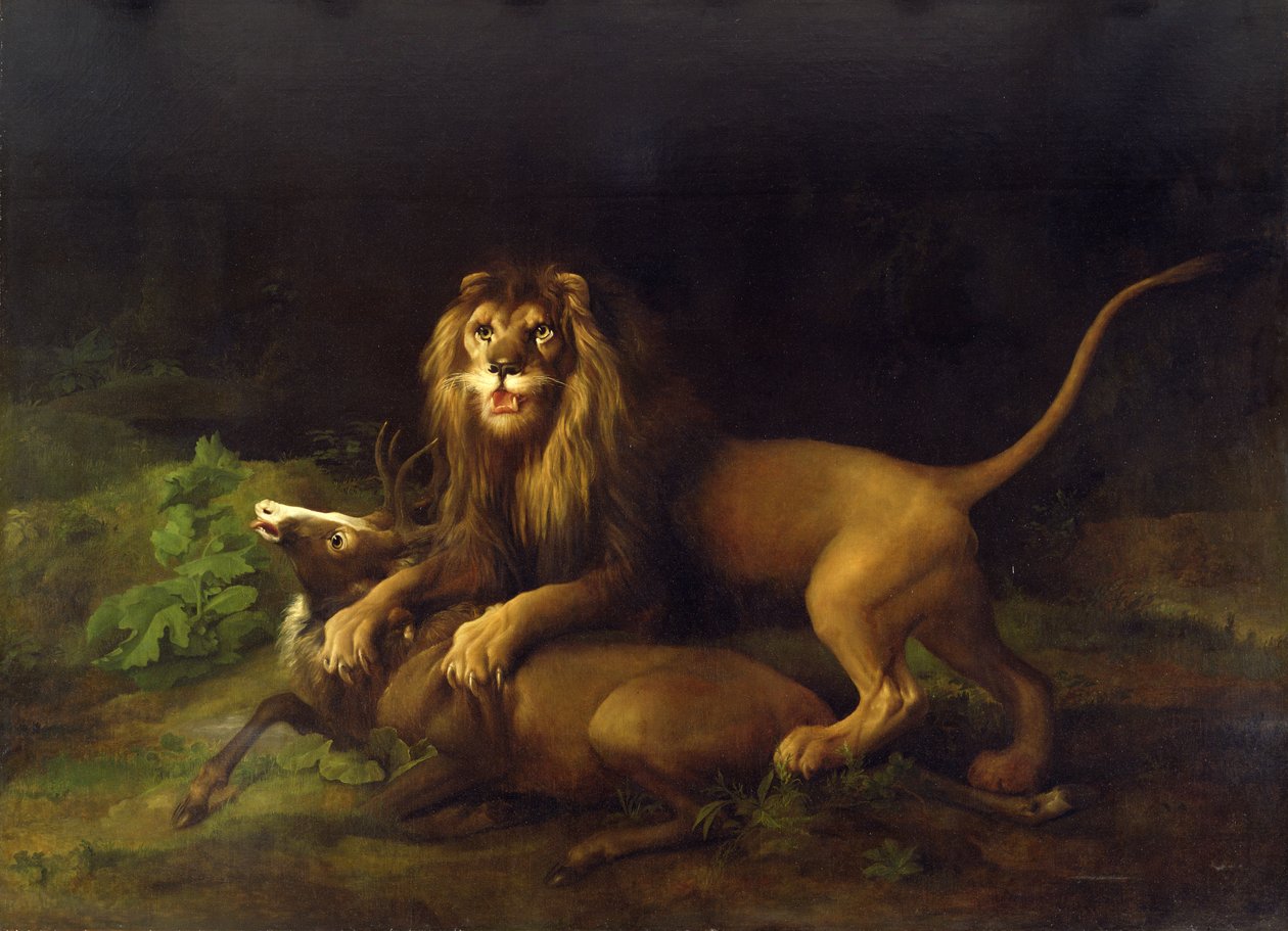 Oroszlán megtámad egy szarvasbikát, 1765 körül alkotó: George Stubbs