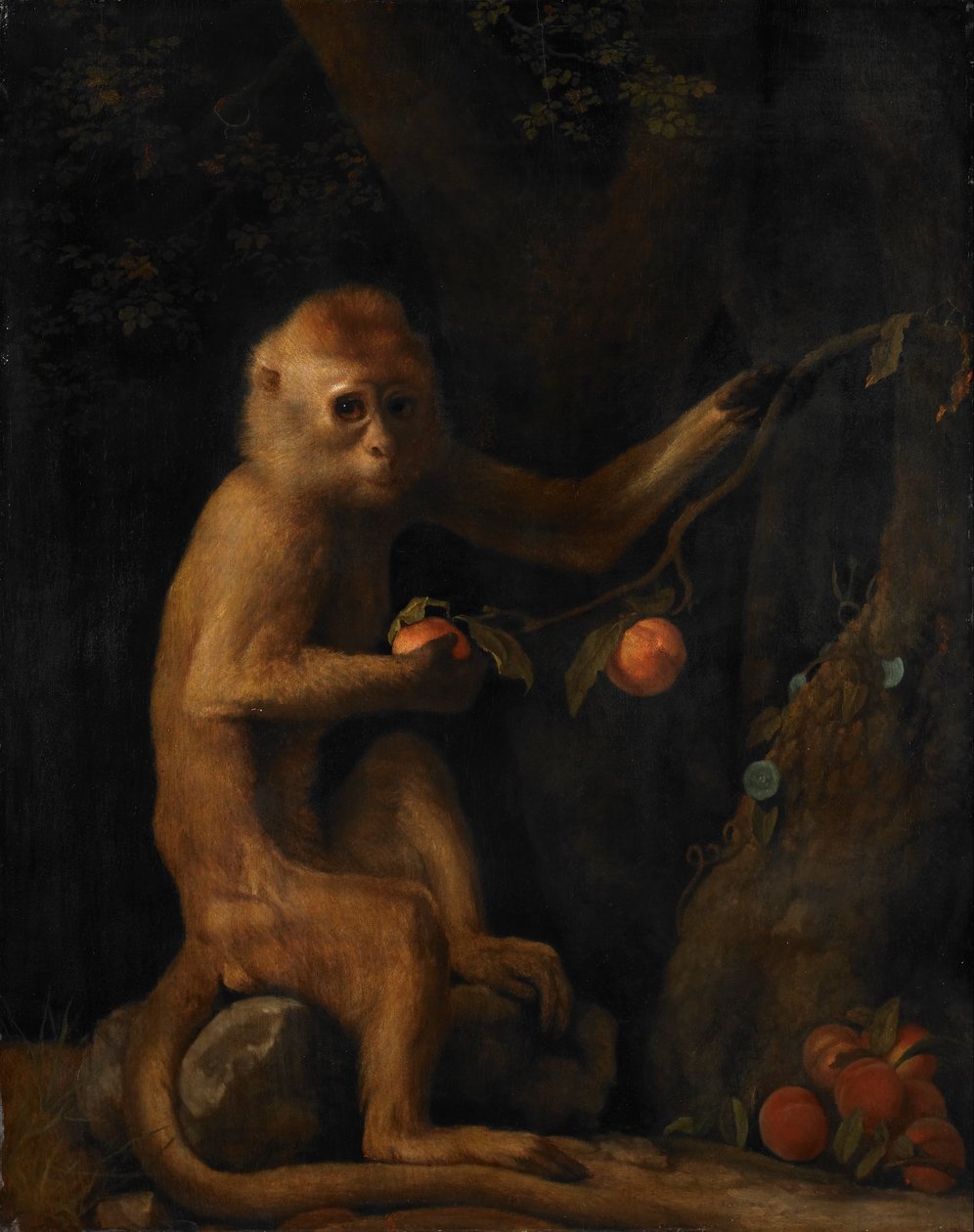 Egy majom alkotó: George Stubbs