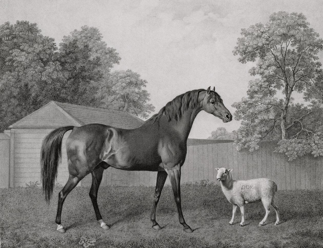 Dungannon, vésette George Townley Stubbs (1756-1815) kocsma. 1794 alkotó: George Stubbs