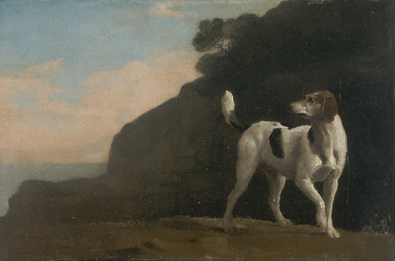 Foxhound alkotó: George Stubbs