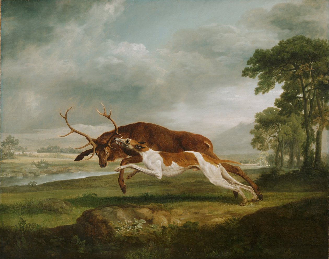 Egy szarvast üldöző kutya alkotó: George Stubbs