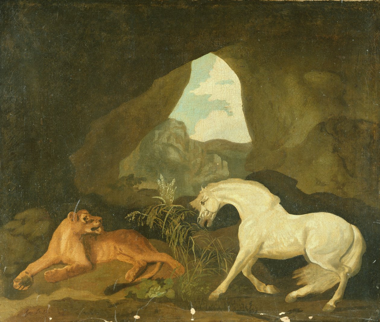Oroszlán és fehér mén, 1760 alkotó: George Stubbs