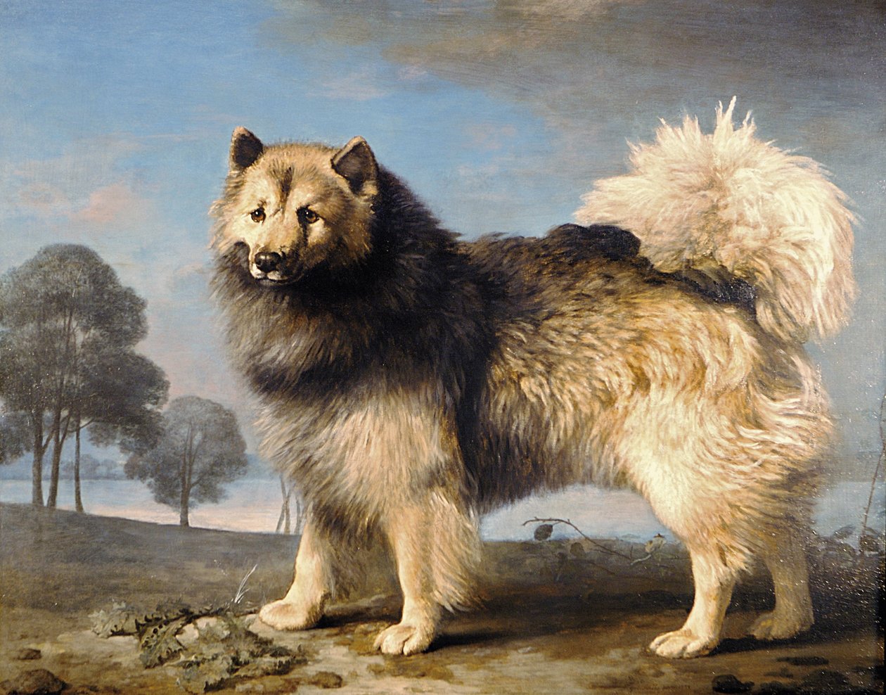 Török, 1778 alkotó: George Stubbs