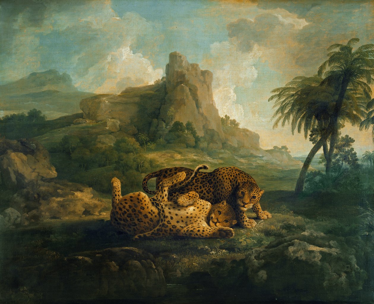 Tygers at Play, 1763-8 alkotó: George Stubbs